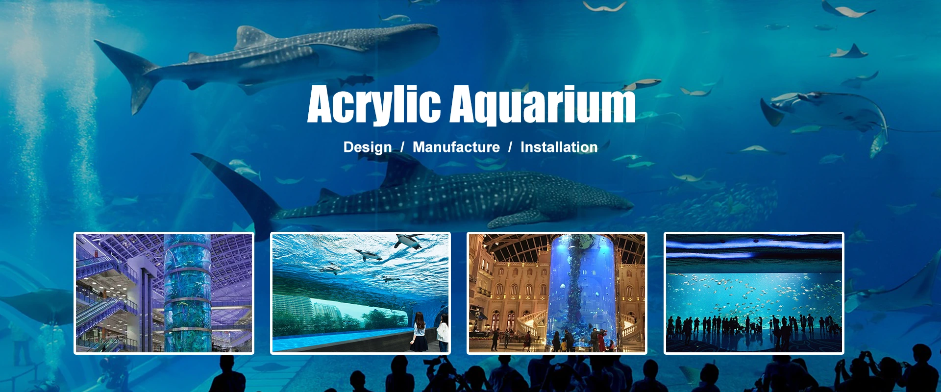 Fornitori di acquari acrilici cinesi