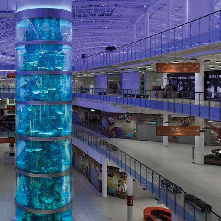 Attrezzatura professionista per il paesaggio del centro commerciale ACRYLIC AQUARIUM MANUTENZIONE