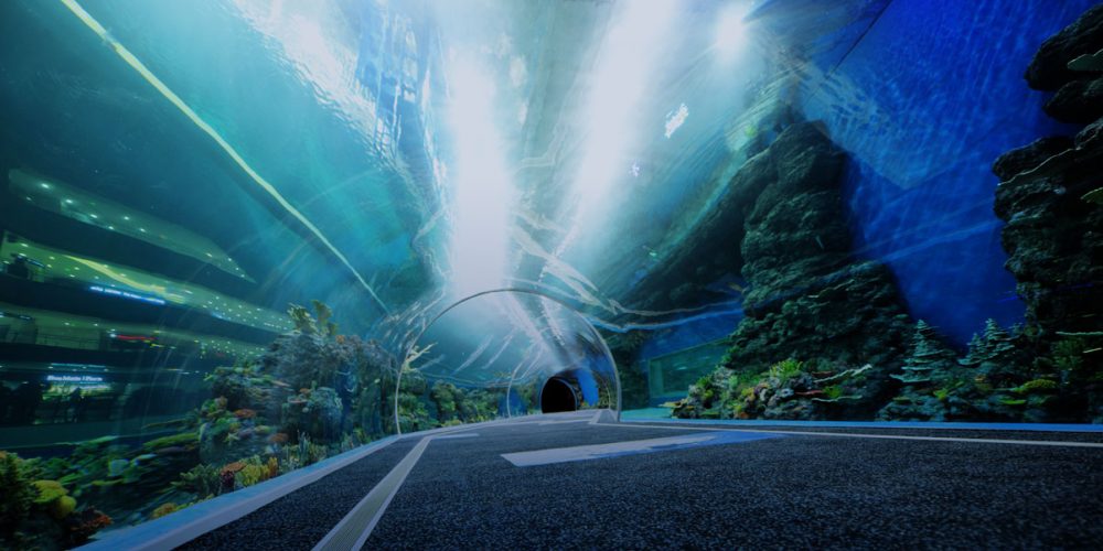 Acrilici Rinnova Oceanariums: innovazioni tecnologiche in acque profonde in Cina