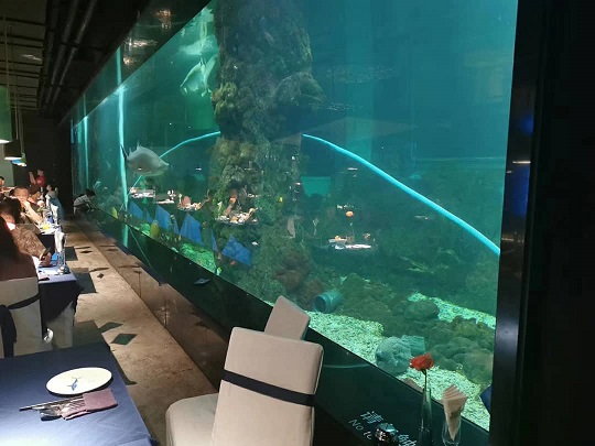 Crafting Aquatic Artistry: Panorama immersivo per le vasche di pesce per ristoranti a tema